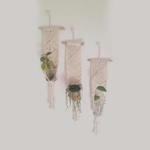 Plant Decor